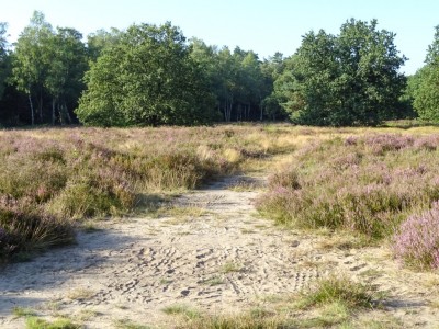 Gemoedelijk Gelderland zorg plus